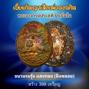 ชนวนรมรุ้ง แสงทอง (ฝังพลอย)
